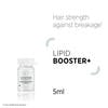 Lipid Booster 20x5ml